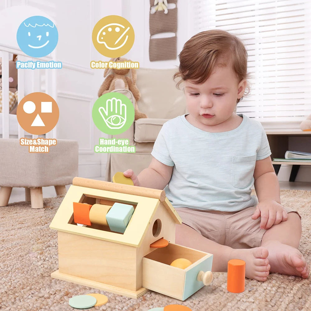 Montessori Toys Wooden Toys Object Permanence Box 5 in 1 Rainbow Spinning Drum House Preschool Ball Drop Kids Toy Shape Sorter
