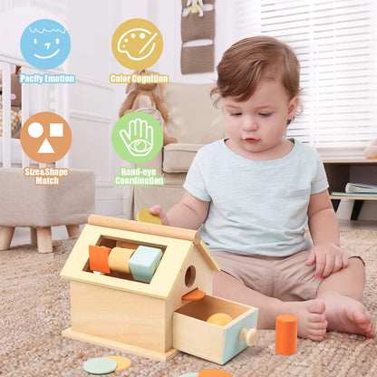 Montessori Toys Wooden Toys Object Permanence Box 5 in 1 Rainbow Spinning Drum House Preschool Ball Drop Kids Toy Shape Sorter
